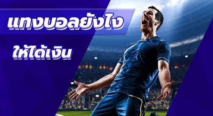 เว็บแทงบอลมือใหม่