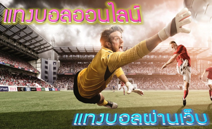 แทงบอลออนไลน์ 911